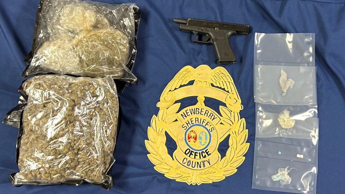 Newberry County man faces multiple drug charges after investigation ...