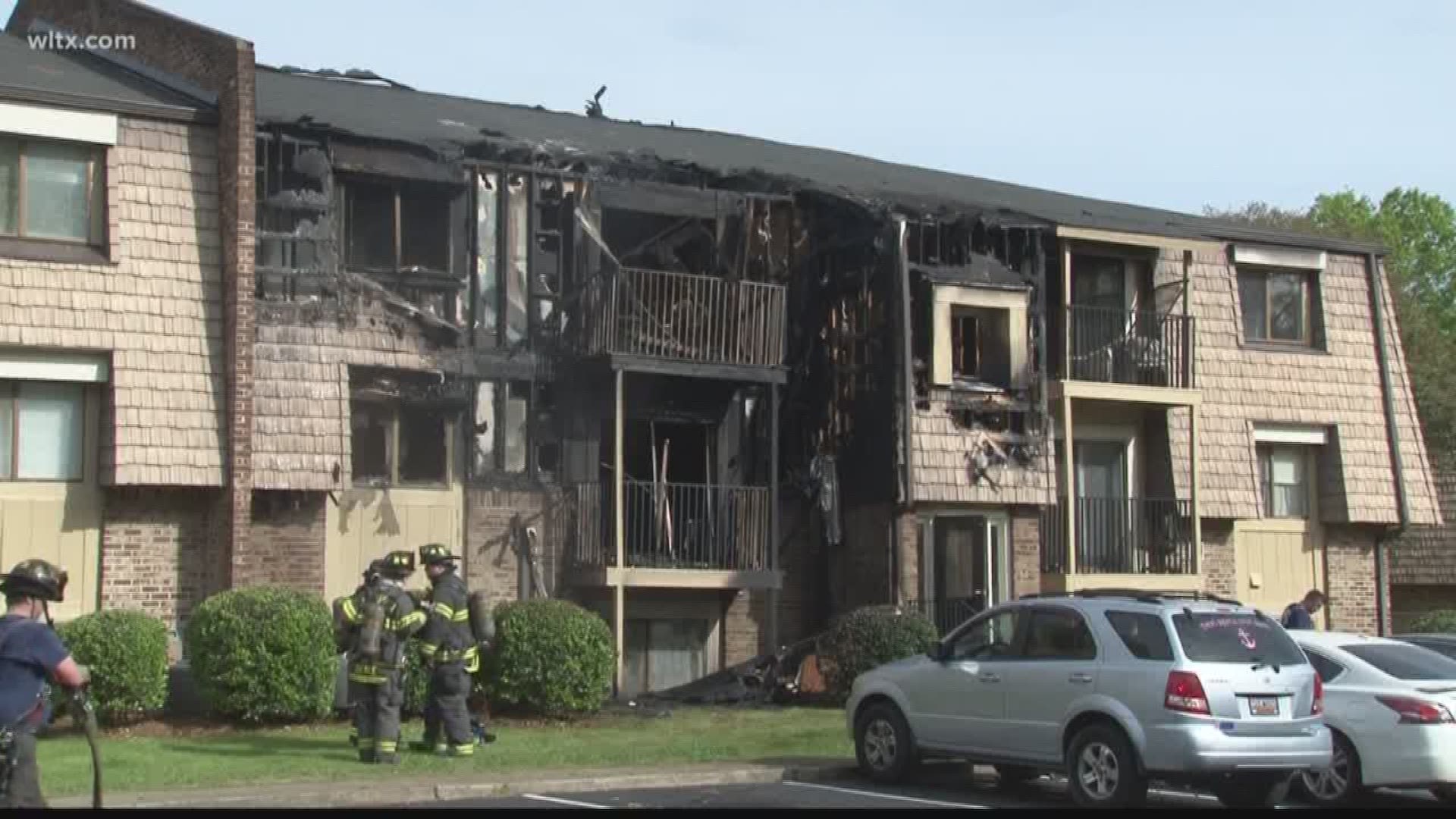 Fire officials say a dog is to blame for a fire at a Columbia apartment complex.  News19's Chandler Mack reports.