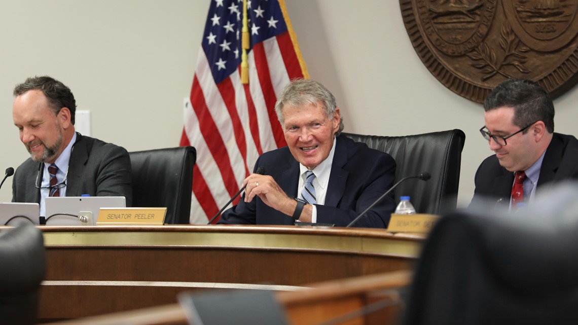 South Carolina budget battle over Clemson veterinary school - Vimarsana News