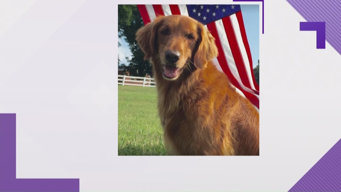Dog who Played 'Duke' in Bush's Baked Beans Ad Dies