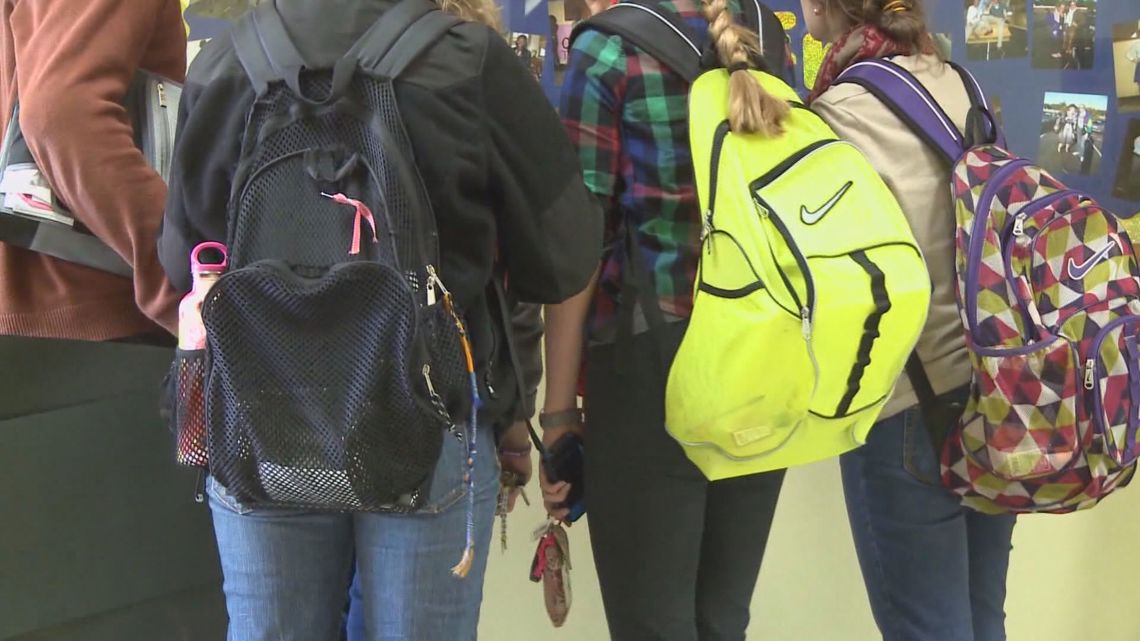 South Carolina could lose $1.6M in funding over sex ed materials containing 'gender ideology'