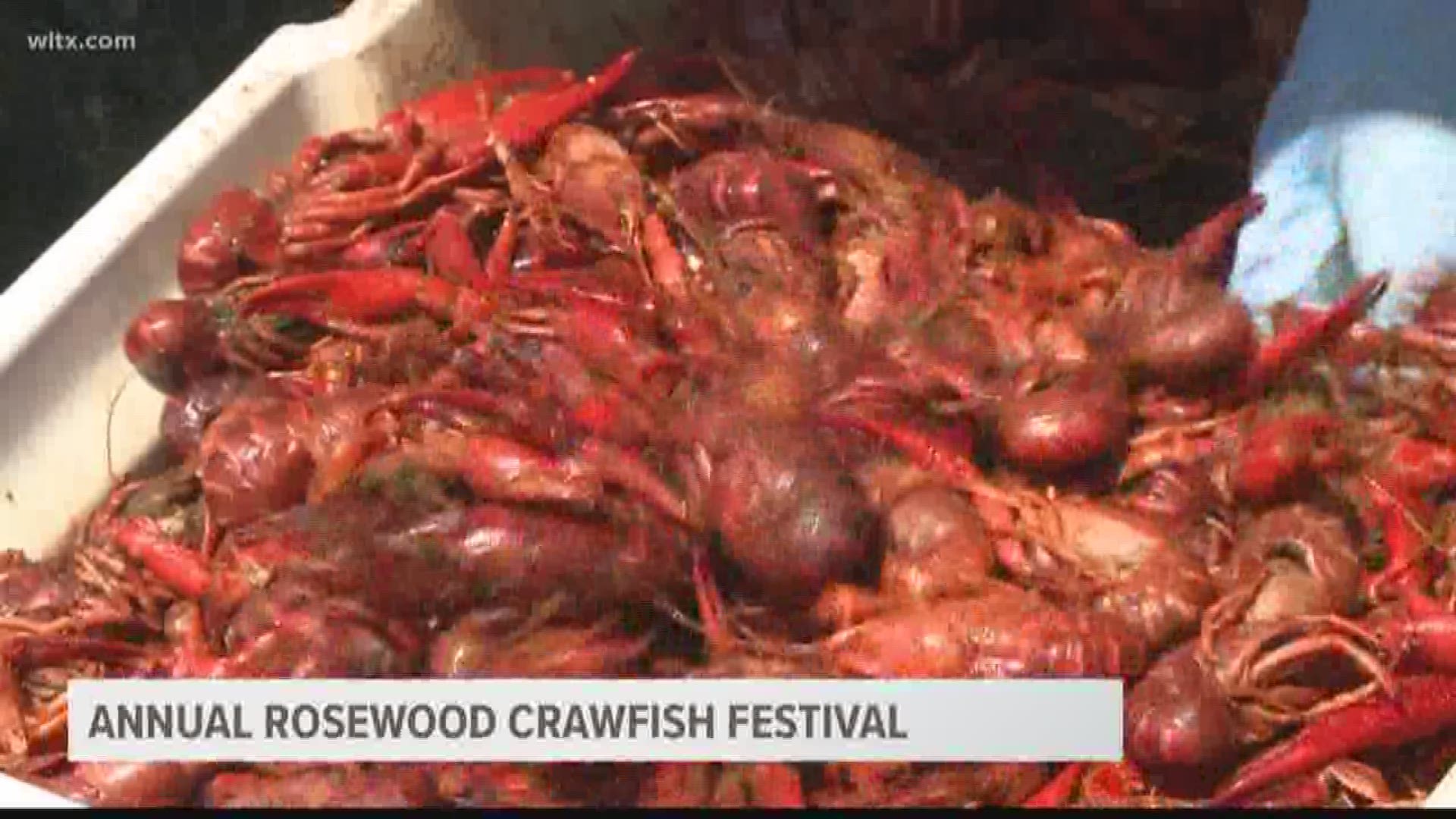 The 13th-annual Rosewood Crawfish Festival was held on Saturday.