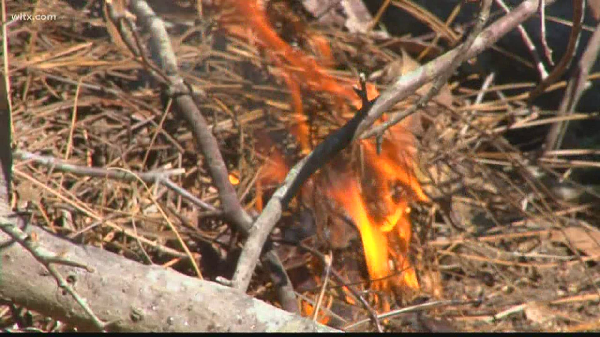 South Carolina burn ban lifted across the state