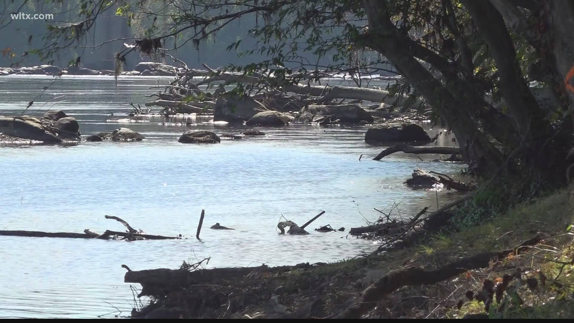 This month has seen some of the lowest levels along the Congaree river in over a decade.