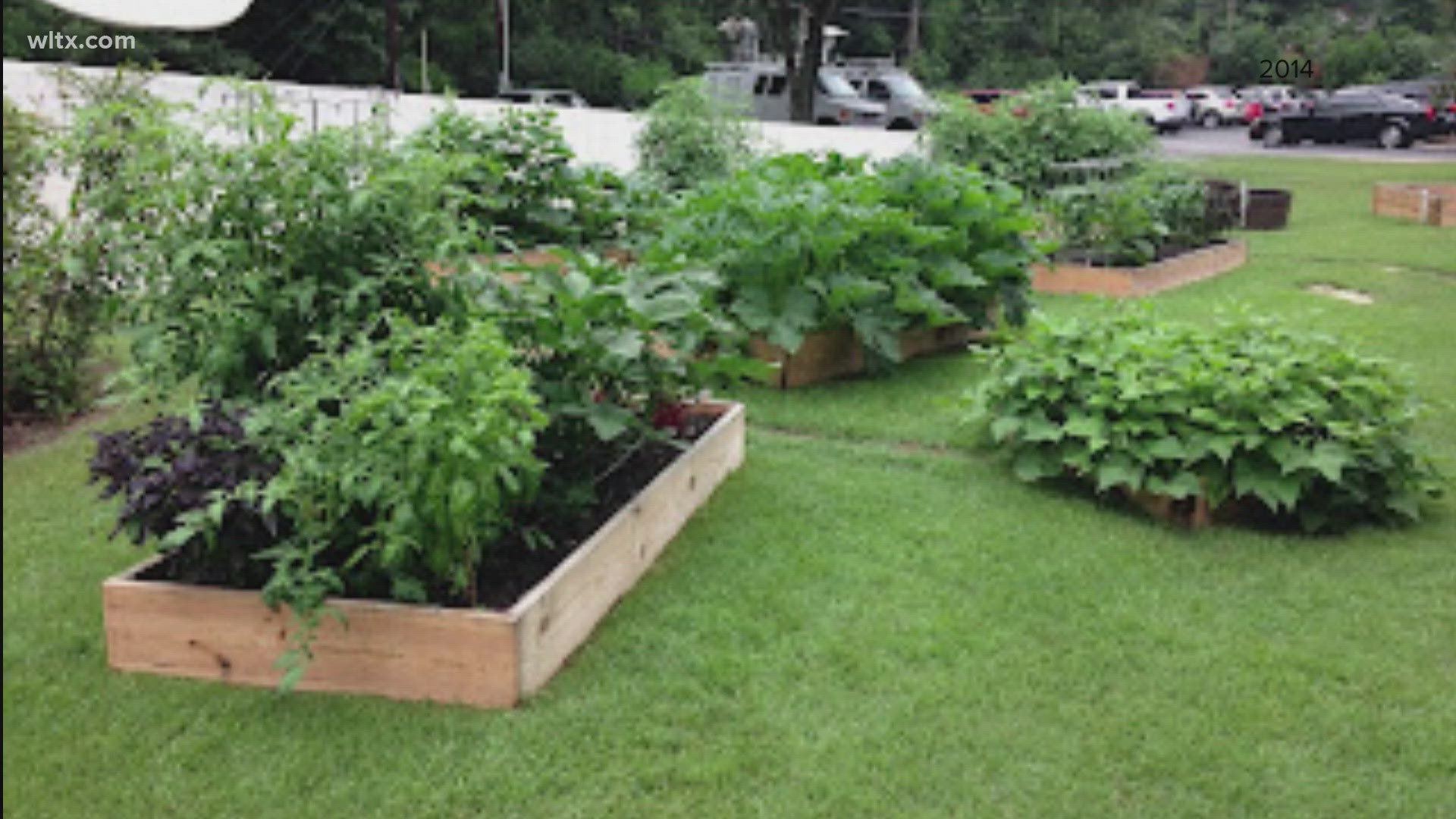 South Carolina's meteorologist began the garden at WLTX ten years ago.