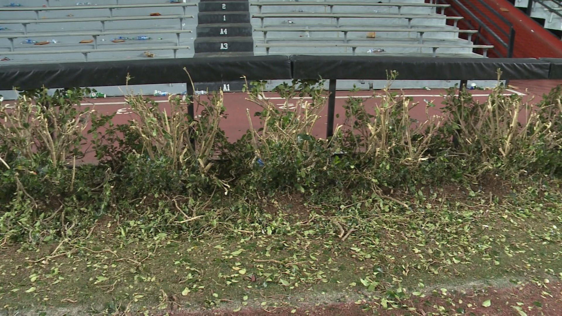 The hedges that line the end zones of Williams-Brice Stadium will need to be replaced after getting torn up by USC fans after the team's win against the Vols.