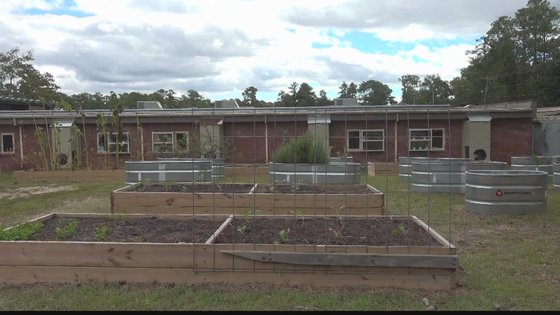 Satchel Ford Elementary school's garden is getting bigger,