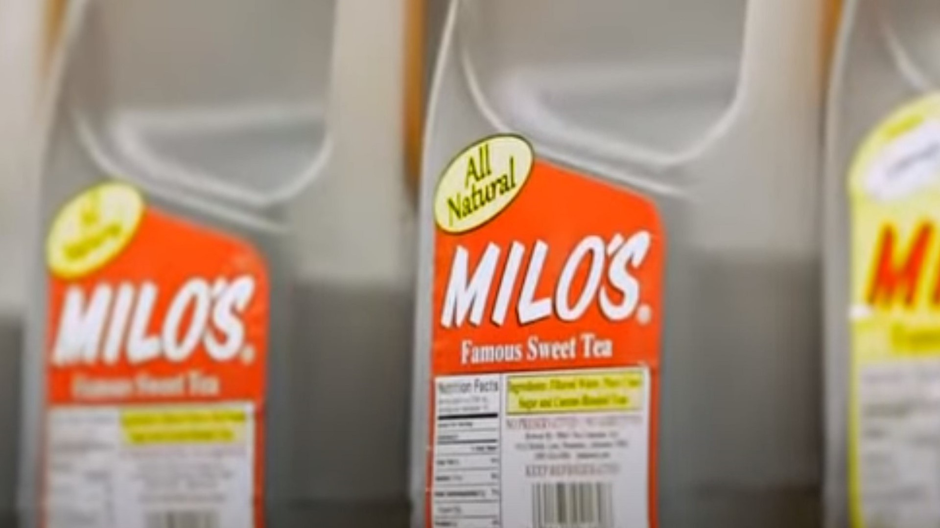 Milo's Tea Company establishing operations in South Carolina