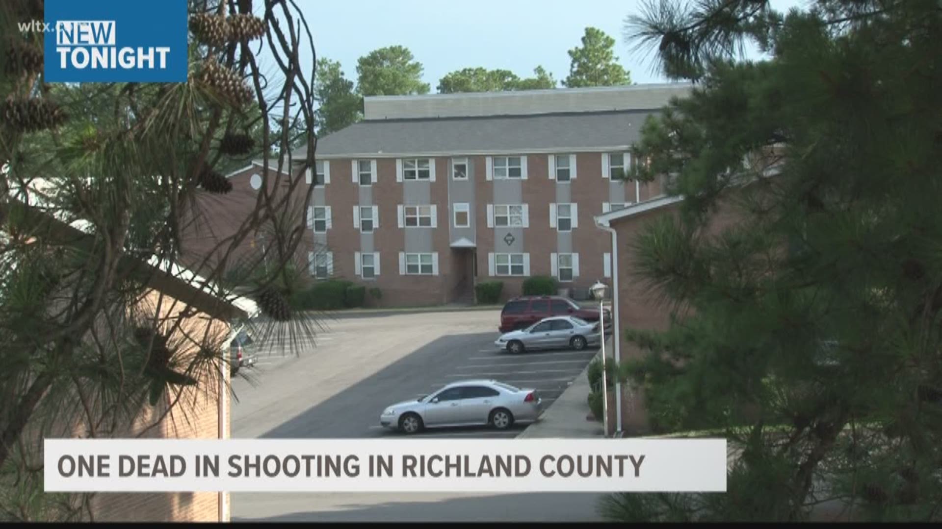 Deputies Seeking Suspect(s) After Shooting Leaves Woman Dead in ...