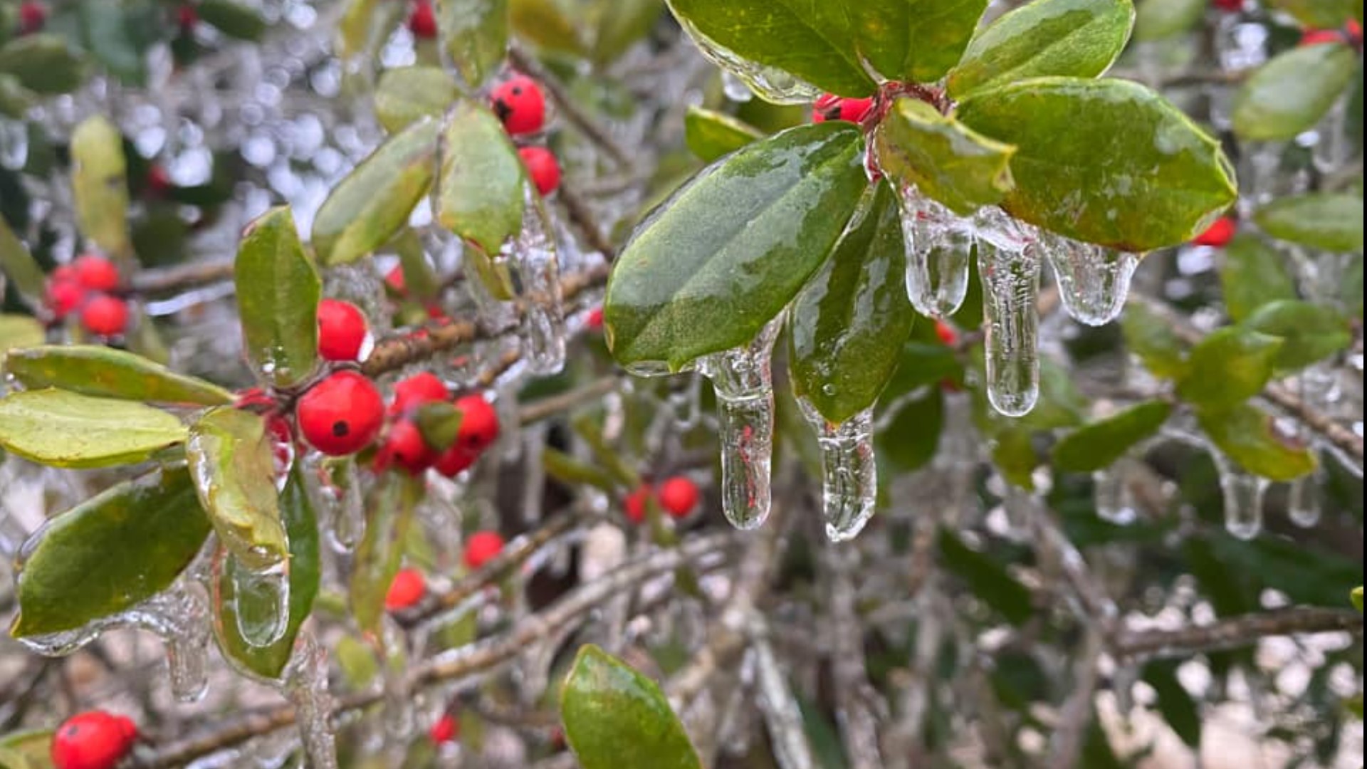 South Carolina winter weather pictures shared by WLTX viewers