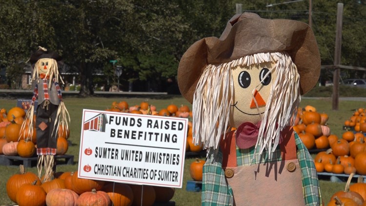 'We eat, breathe, live pumpkins': Church hosts 22nd annual pumpkin patch