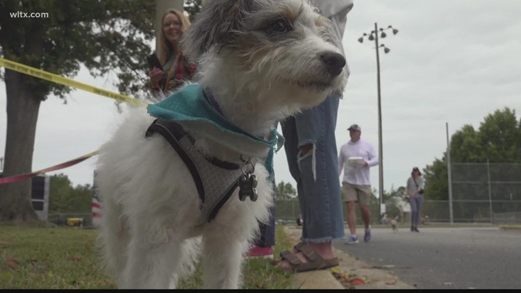 Chapin FIDO Fest introduces dogs from all barks of life