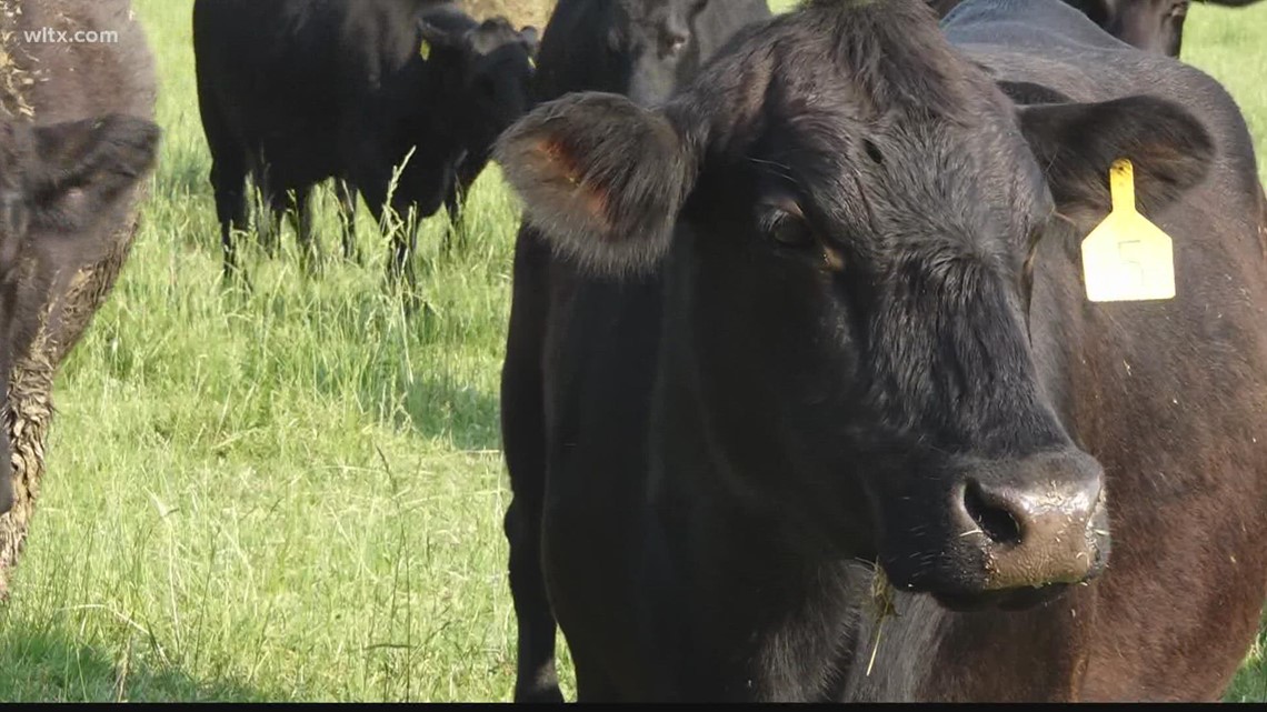 Self-paced Ag+Art Tour returns to Midlands June 11, 12 - Vimarsana News