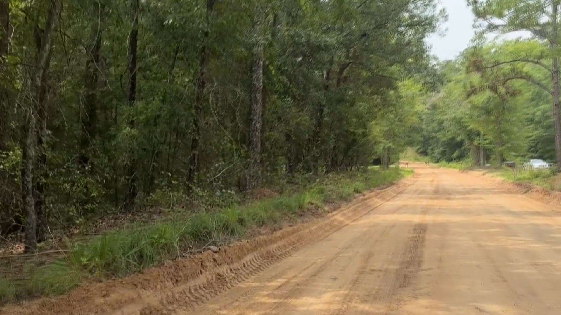 Dirt road in Swansea offers rough driving conditions for neighbors ...