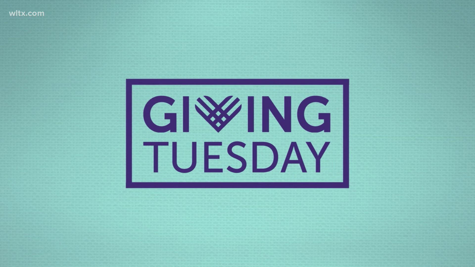 Giving Tuesday is almost here! Discover local Midlands nonprofits and how you can give back by donating your time or money this holiday season.