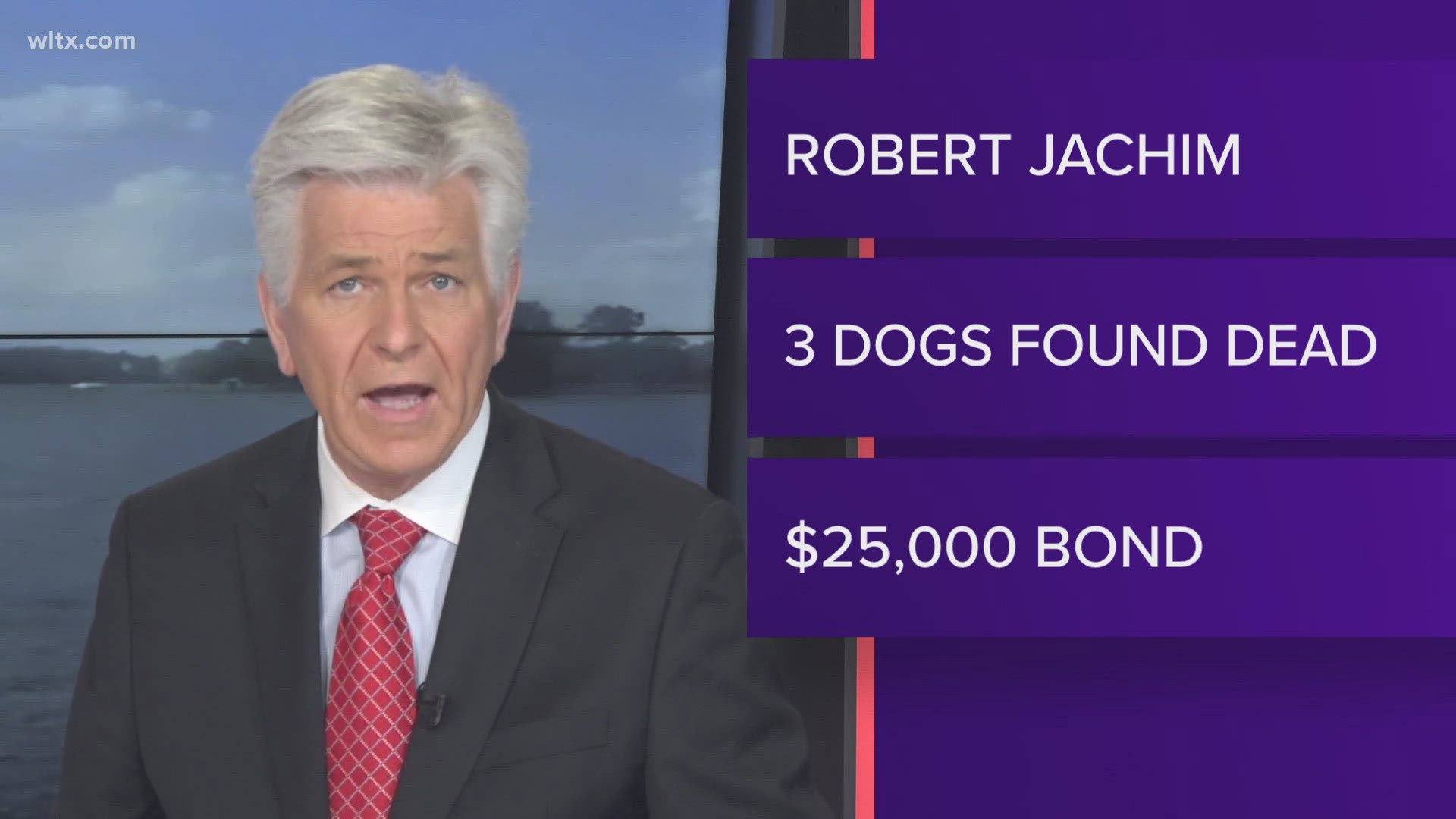 Robert Jachim, 40, left dogs to die in cages in a home that he vacated.  Three dogs died, two are being cared for.