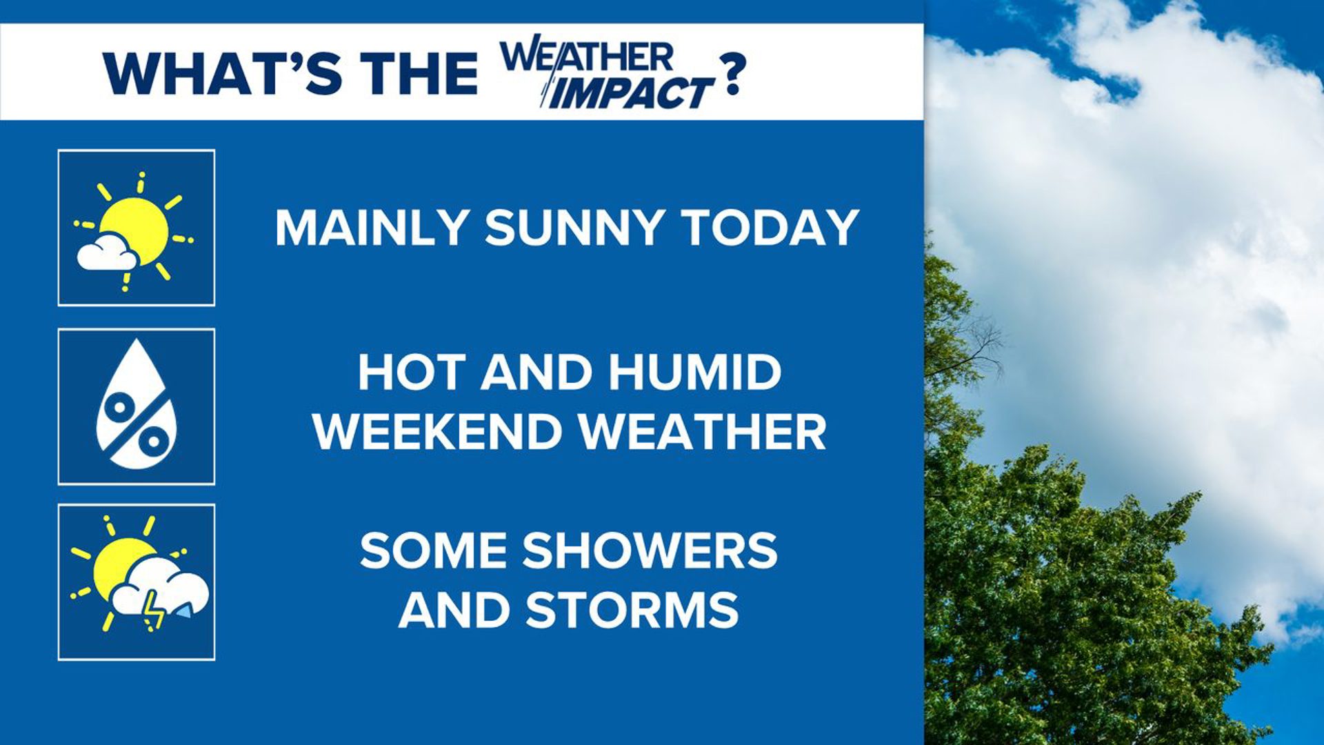Mainly sunny today, but rain chances return for the weekend | wltx.com