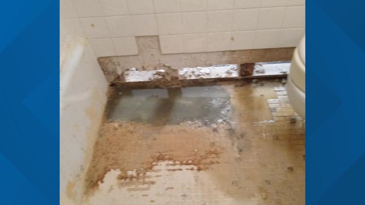 Tenants say they were forced to leave apartment due to black mold