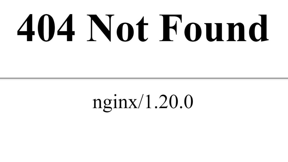 scvotes-website-down-on-first-day-of-south-carolina-early-voting-wltx