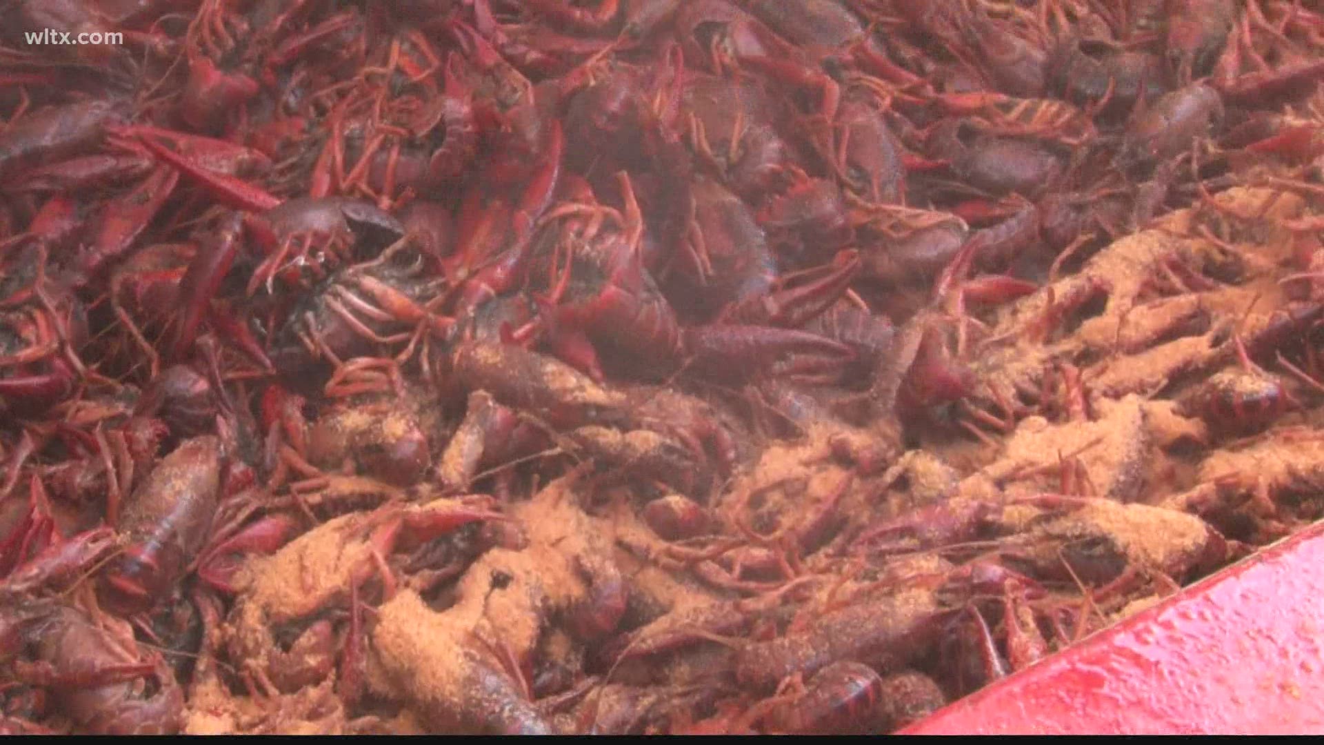 Rosewood Crawfish Festival to be held May 1