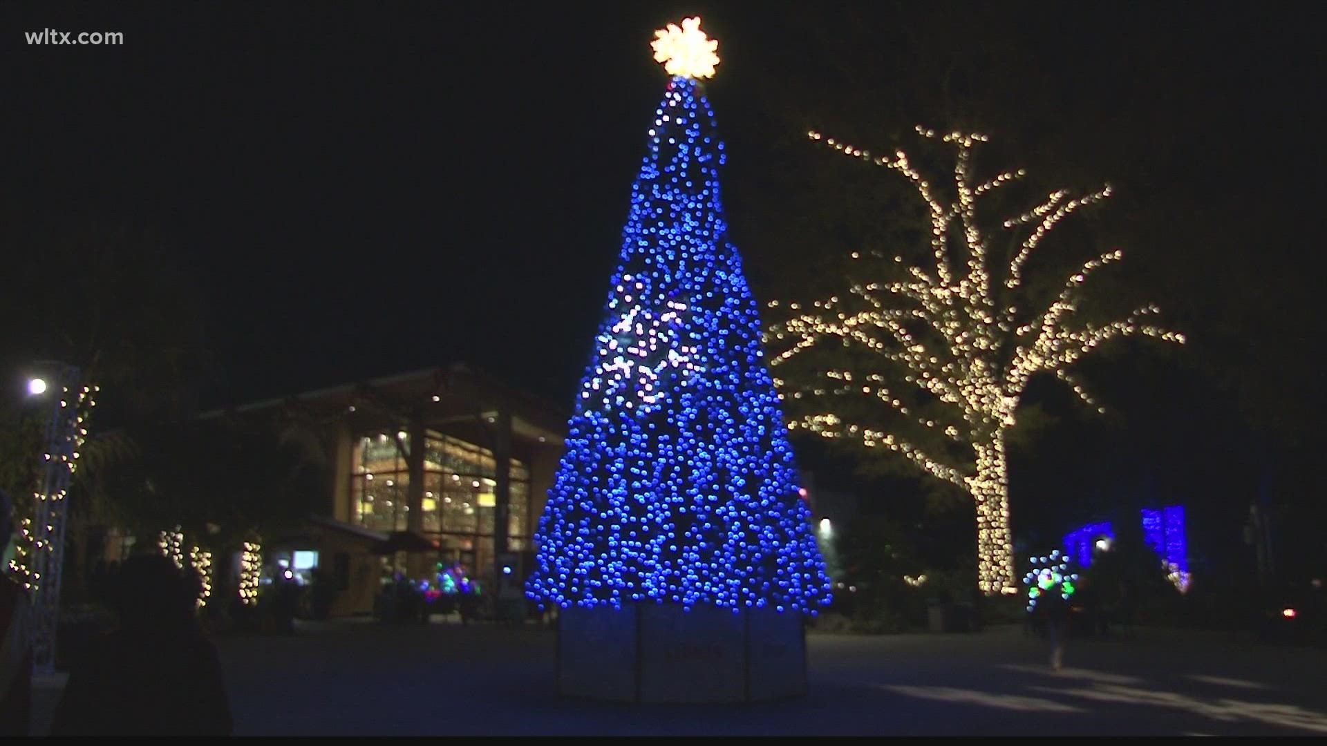 Christmas lights illuminate Riverbanks Zoo