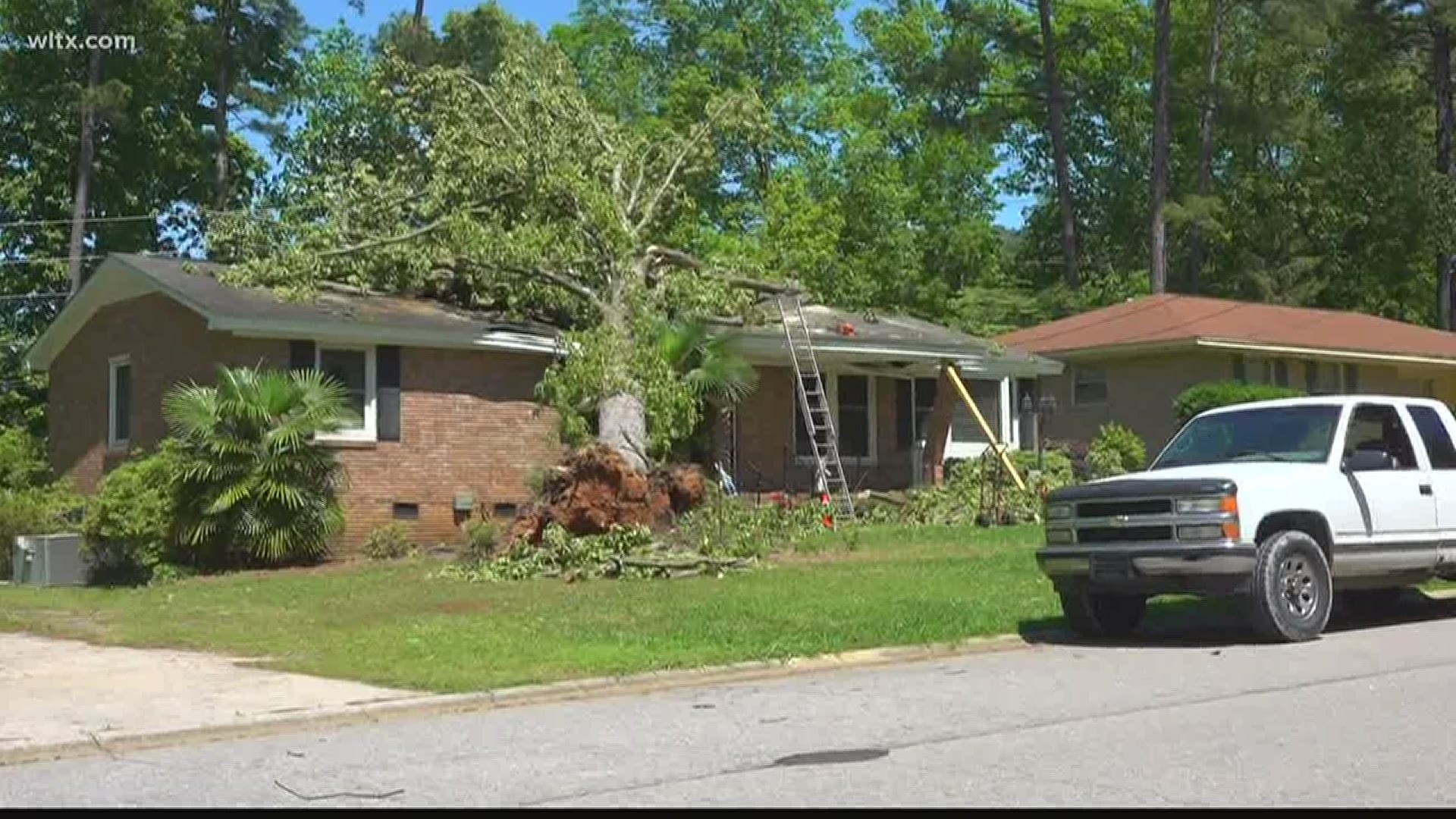 Overnight storms uprooted trees causing some to fall into roofs in Lexington county.  No one was injured in the storms.