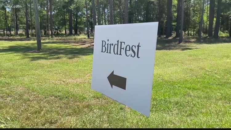 Birdfest Music festival gets ready for the weekend