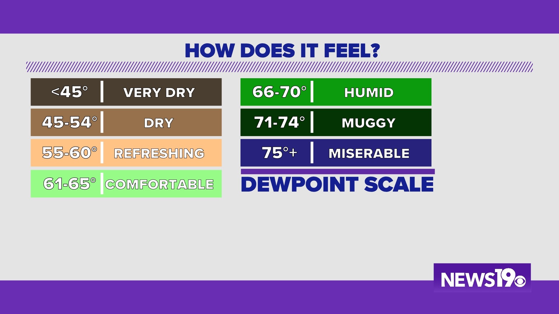Why dewpoint is a much better tool for explaining our weather | wltx.com