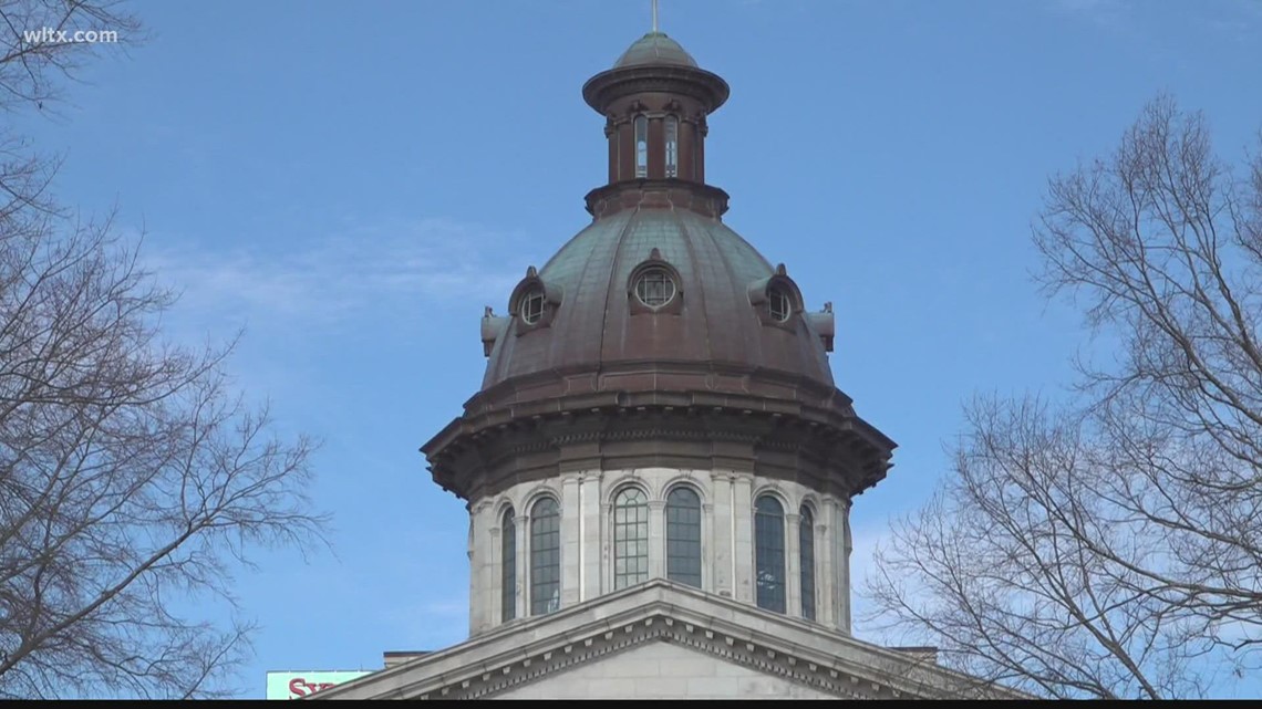 South Carolina laws on alcoholic desserts, property taxes debated - Vimarsana News