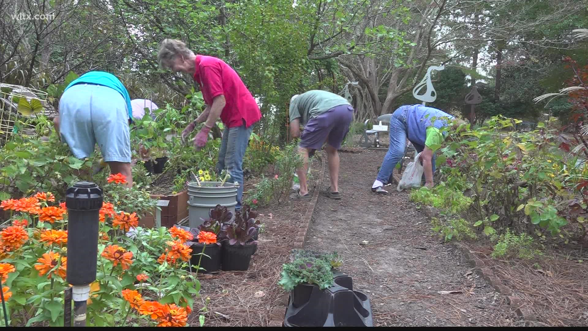 The Sumter Master Gardeners Association is doing at the Chocolate Garden at the Sumter Iris Garden.