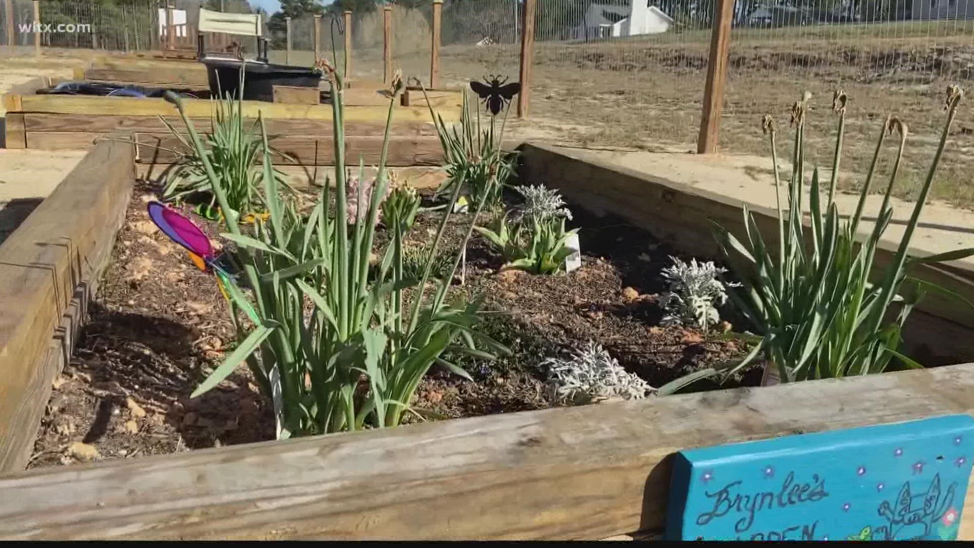 The United Way of Kershaw County and members of the community are building a community garden to help feed families in the area.