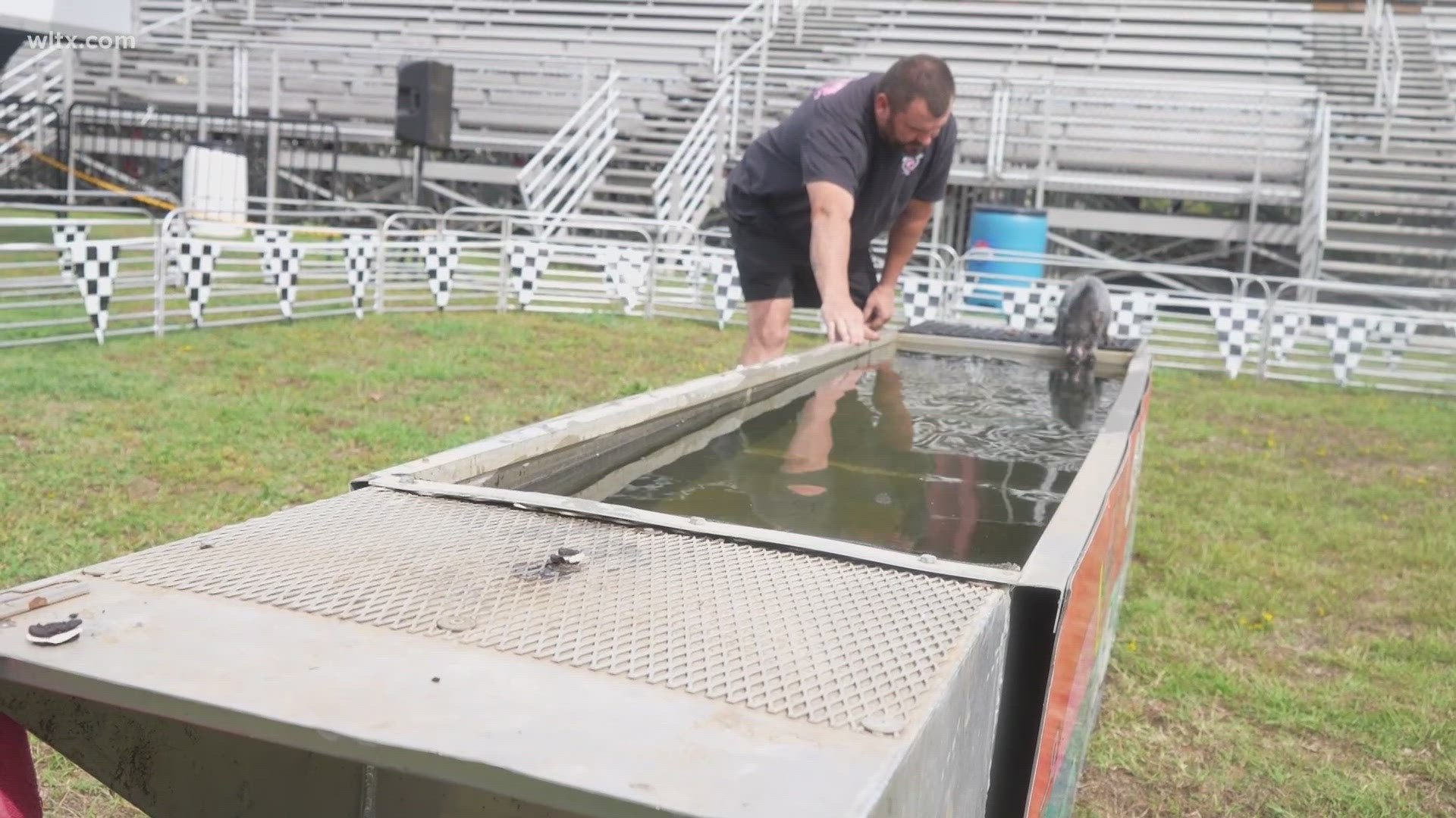 Swifty Swine Racing is back at the South Carolina State Fair. Here's an inside look of the pigs and the training that goes into the performance