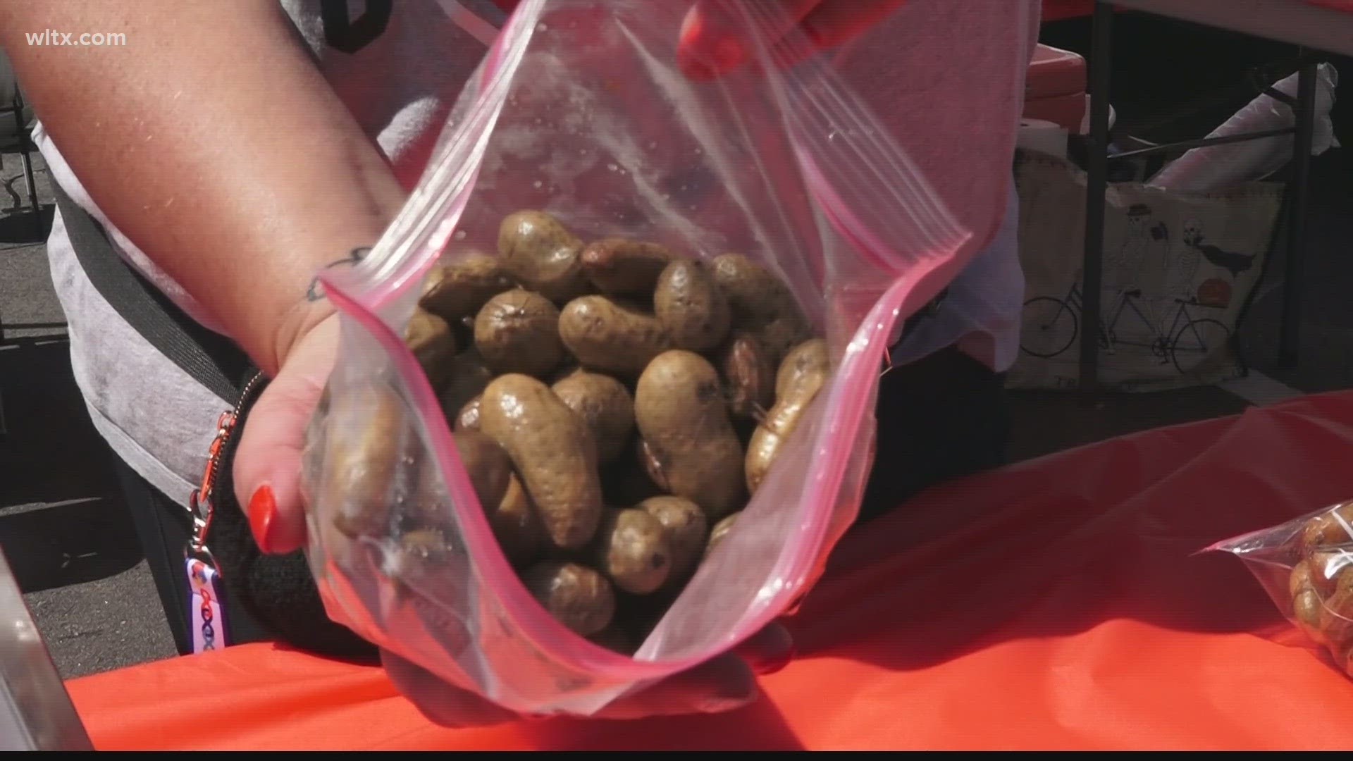 Teams from across the Palmetto State came together to share their flavors with the Columbia community and compete for the title of 'Best Boiled Peanut.'