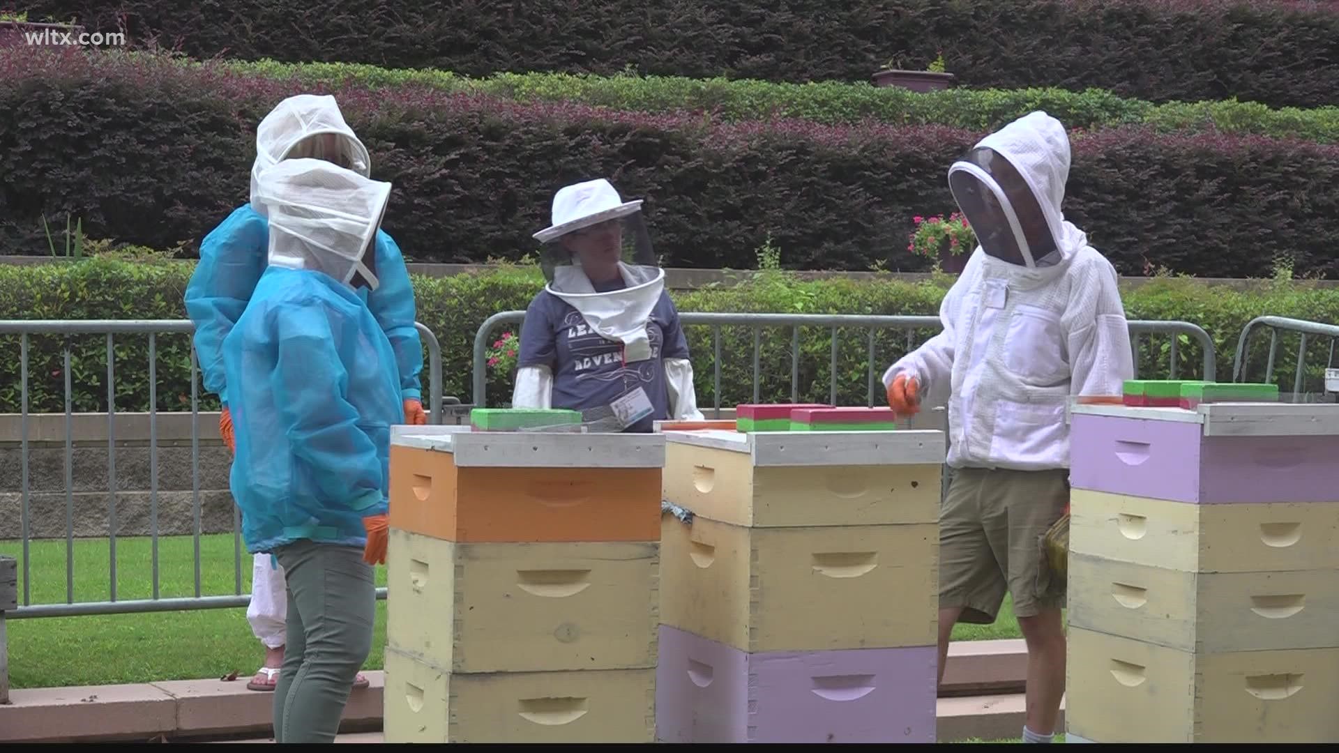 The conference will last for three days with today's focus being on an introduction to beekeeping for newbies.