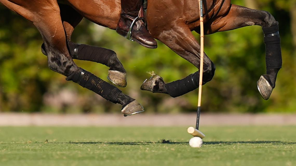 From the sport of kings to acts that can sing, there's plenty to see and do this weekend