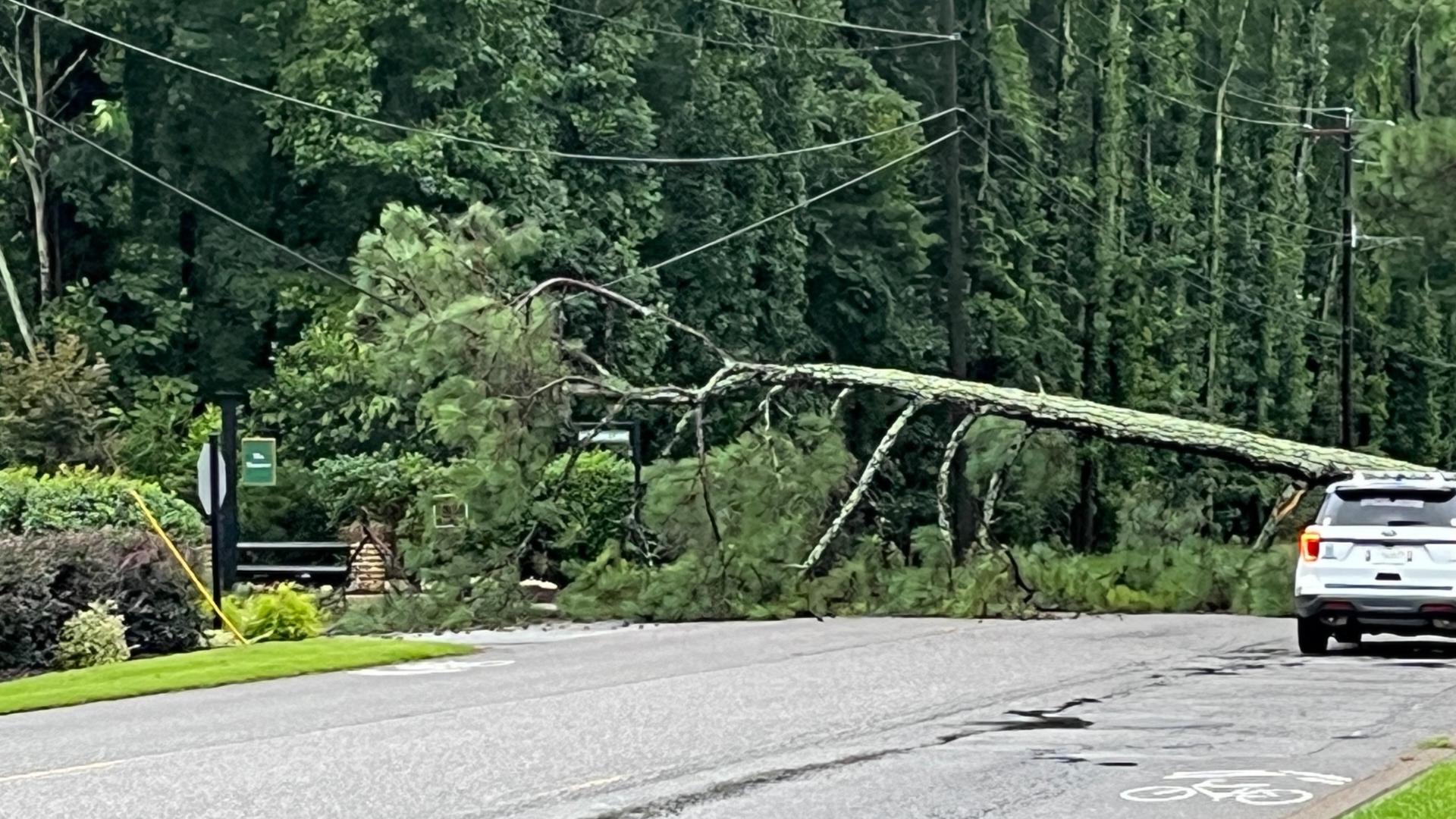 Tropical Storm Debby latest updates for South Carolina | wltx.com