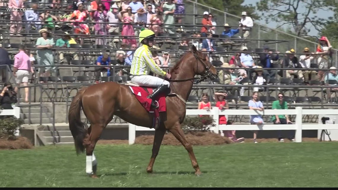 Camden hosts 89th Carolina Cup, bringing thousands to city - Vimarsana News