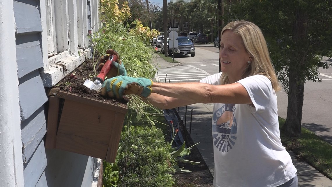 Charleston locals clean up after Tropical Storm Idalia - Vimarsana News