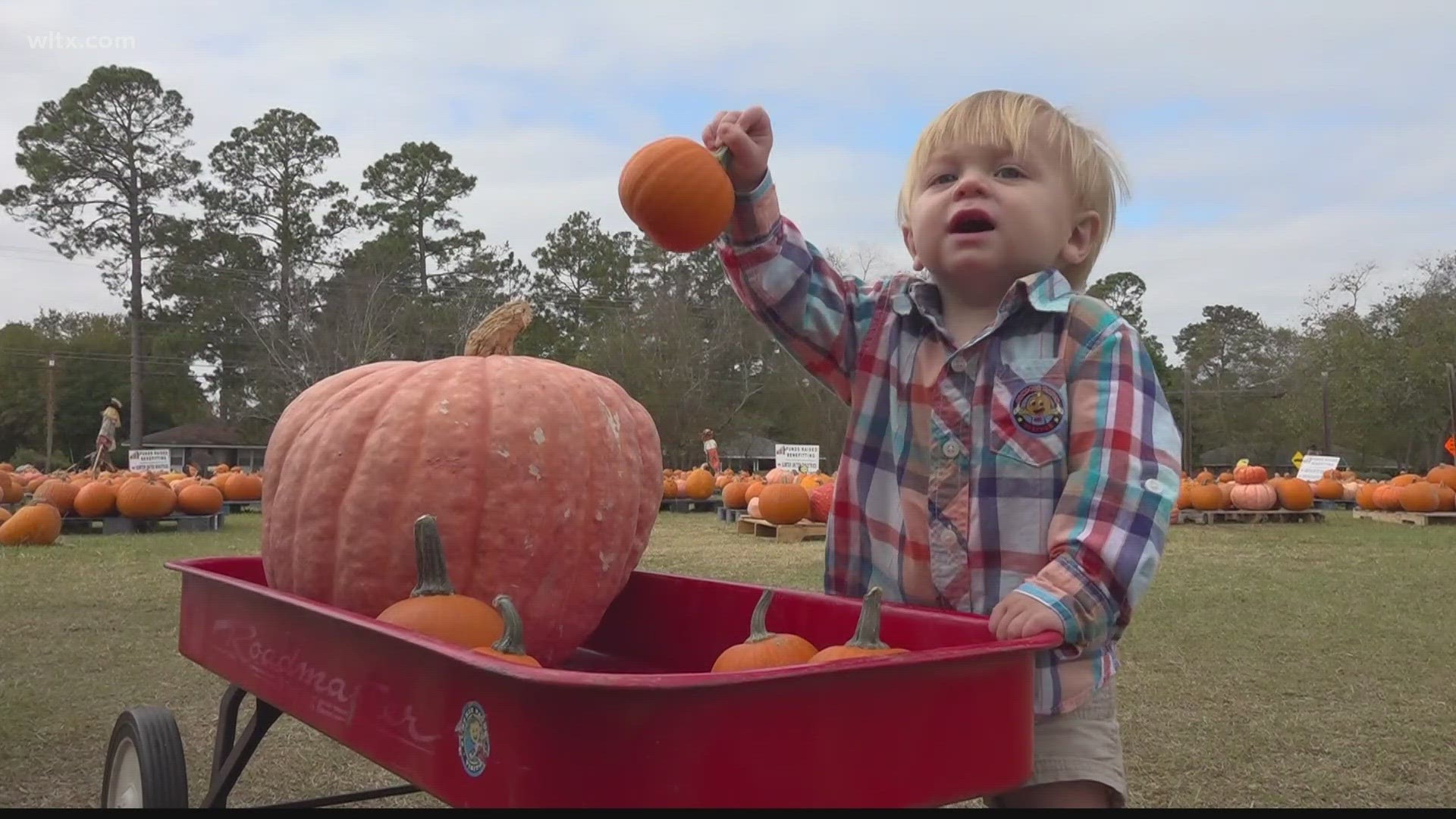 A Sumter church uses the pumpkin patch to help raise money for charities.