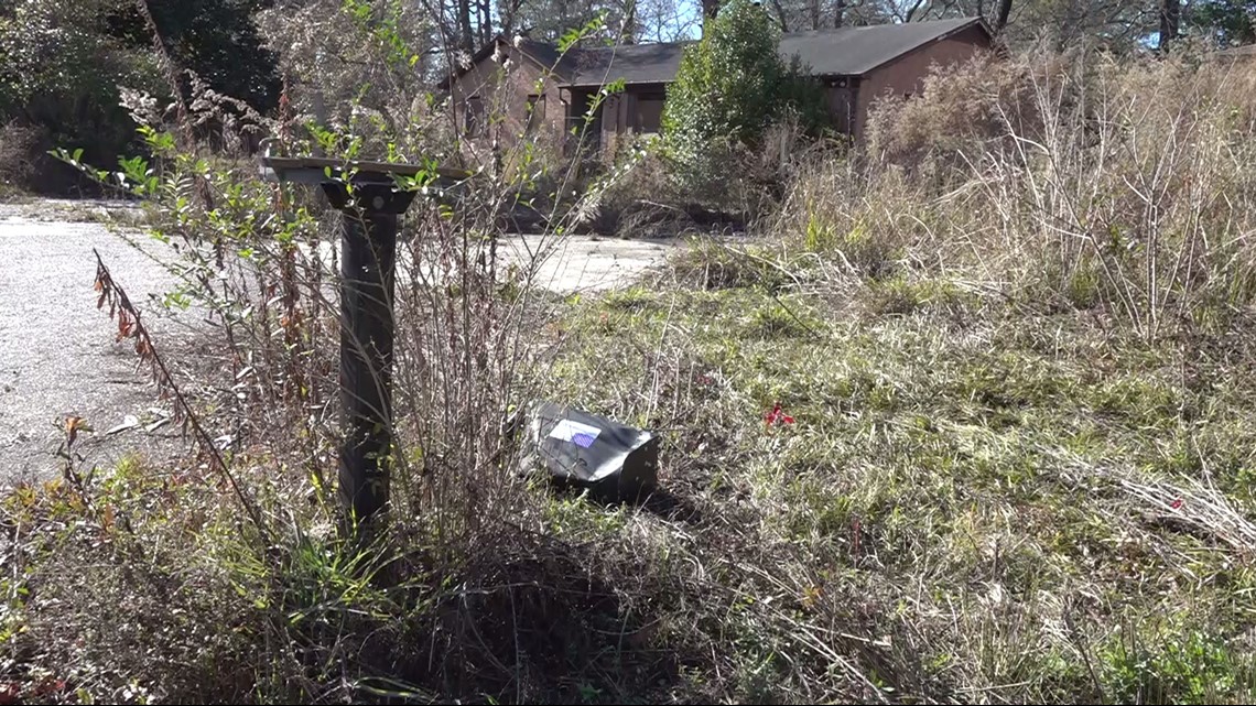 Street destroyed by 2015 flood turning into natural habitat - Vimarsana News