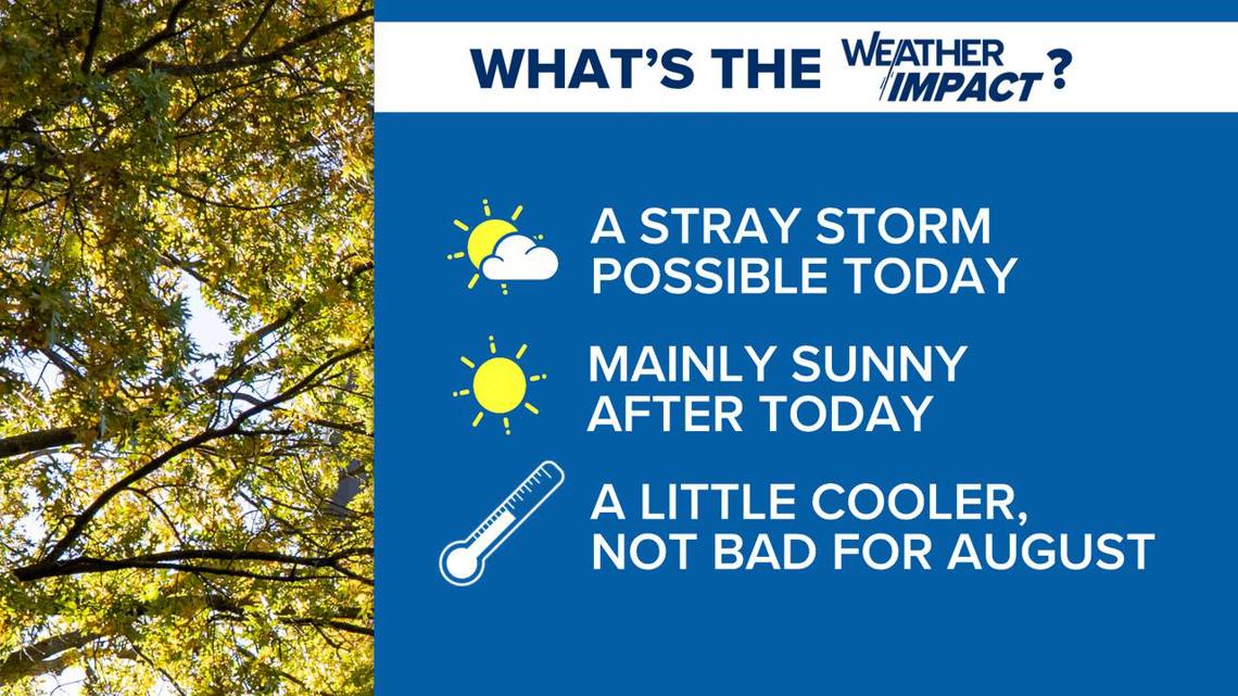 A little break from the South Carolina heat and humidity | wltx.com
