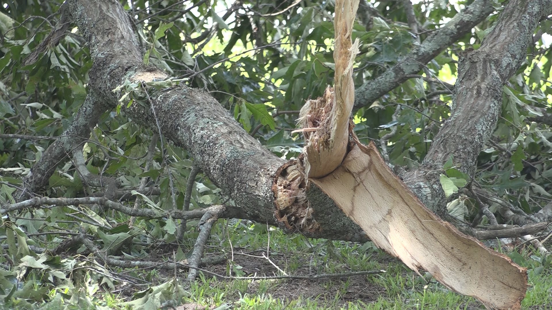 Madison Hubbell, Adrian Diaz plan dream wedding after Olympics
