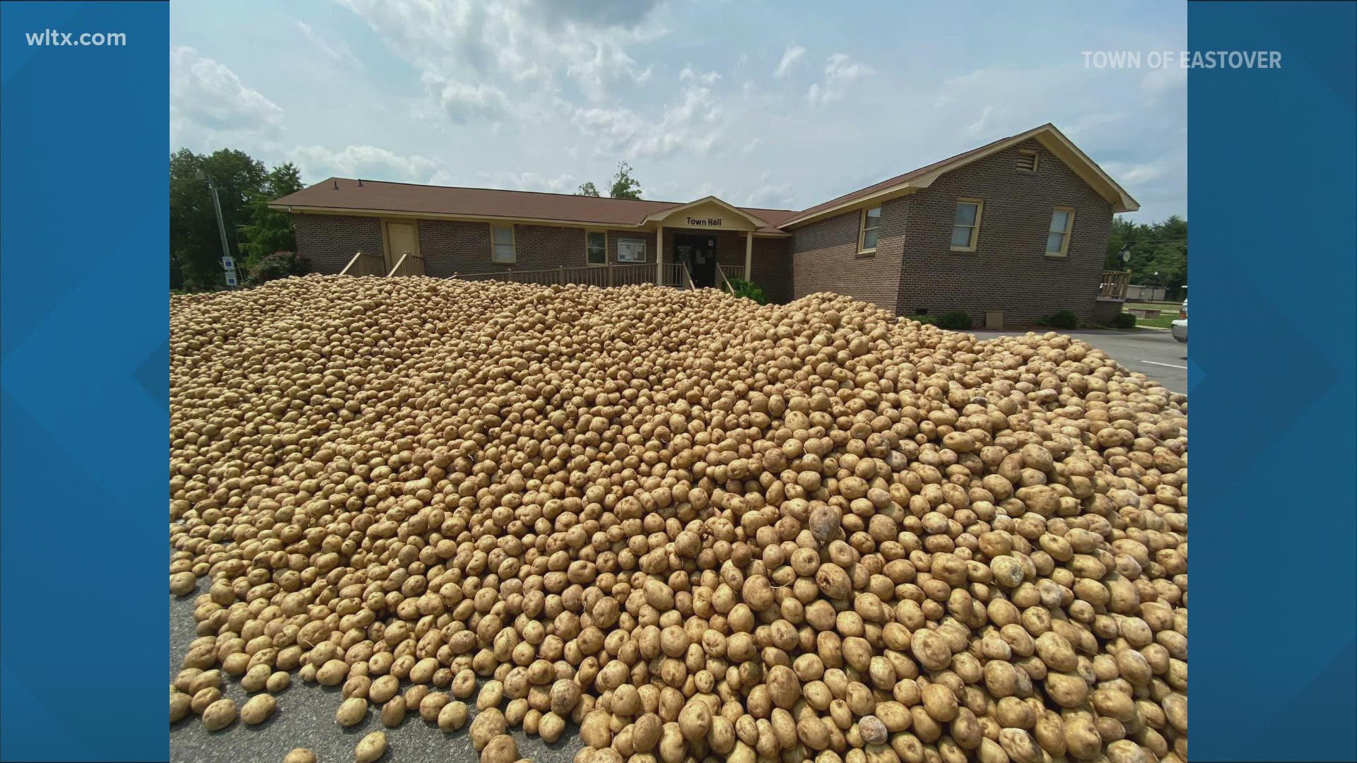 Mountain of potatoes in Town of Eastover, South Carolina