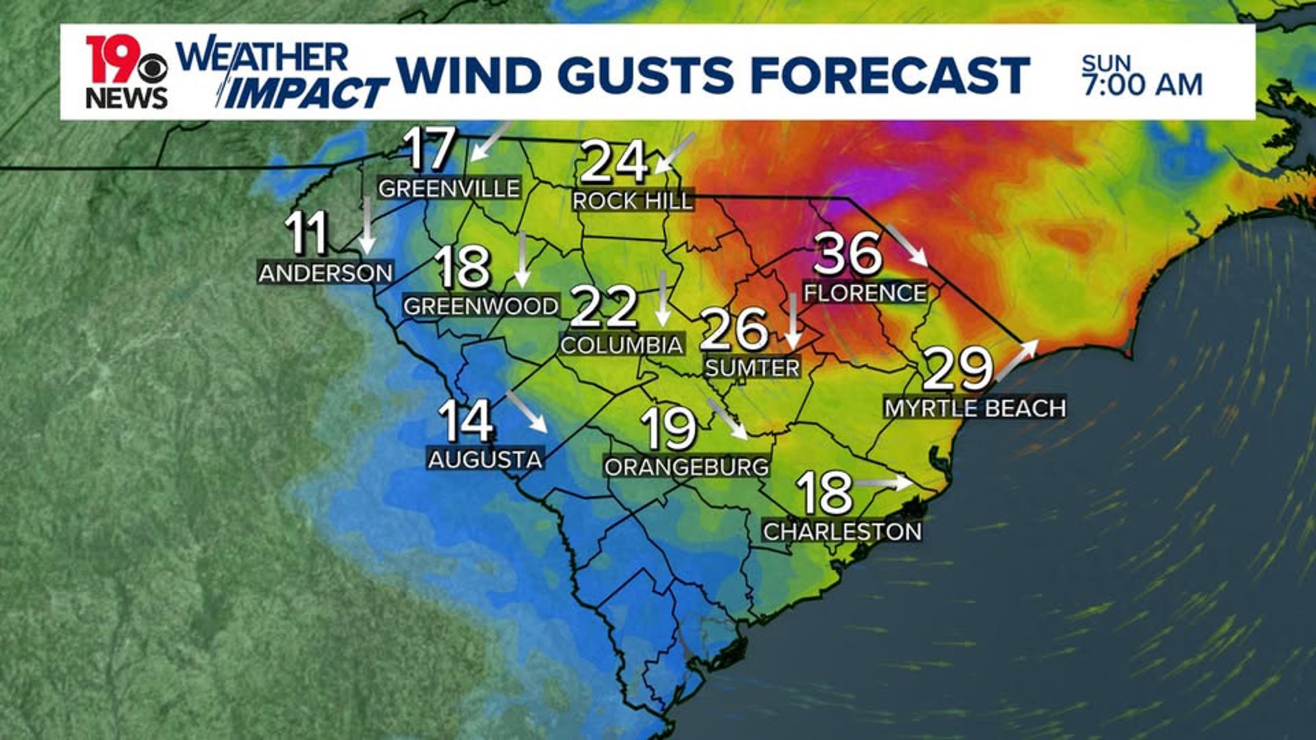 Tropical Storm Chantal to impact South Carolina this weekend | wltx.com