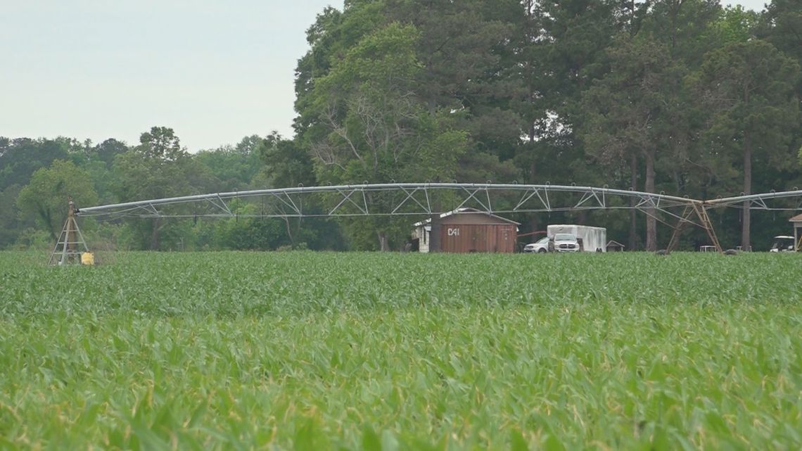 Proposed $35M in state budget aims to help struggling South Carolina farmers