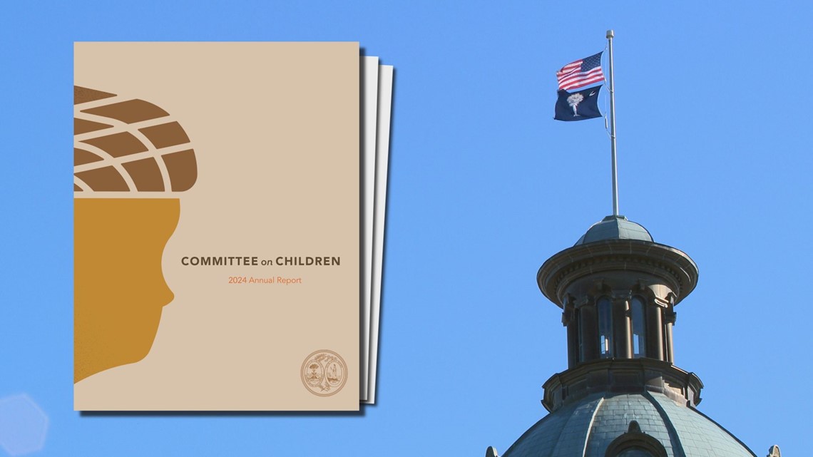Committee on Children releases 2024 annual report | wltx.com