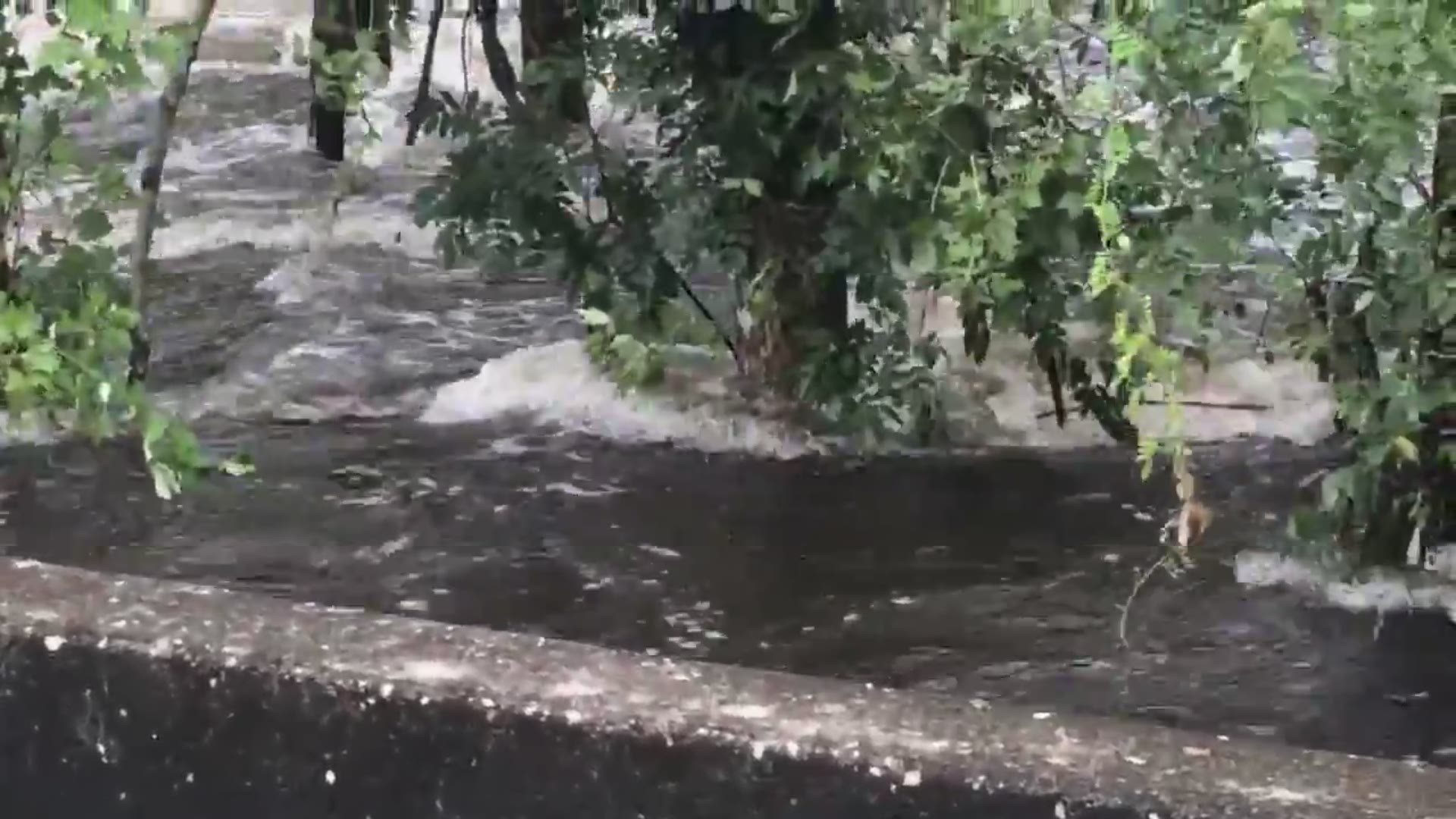 RAW Flooding in Dillon County at Highway 41