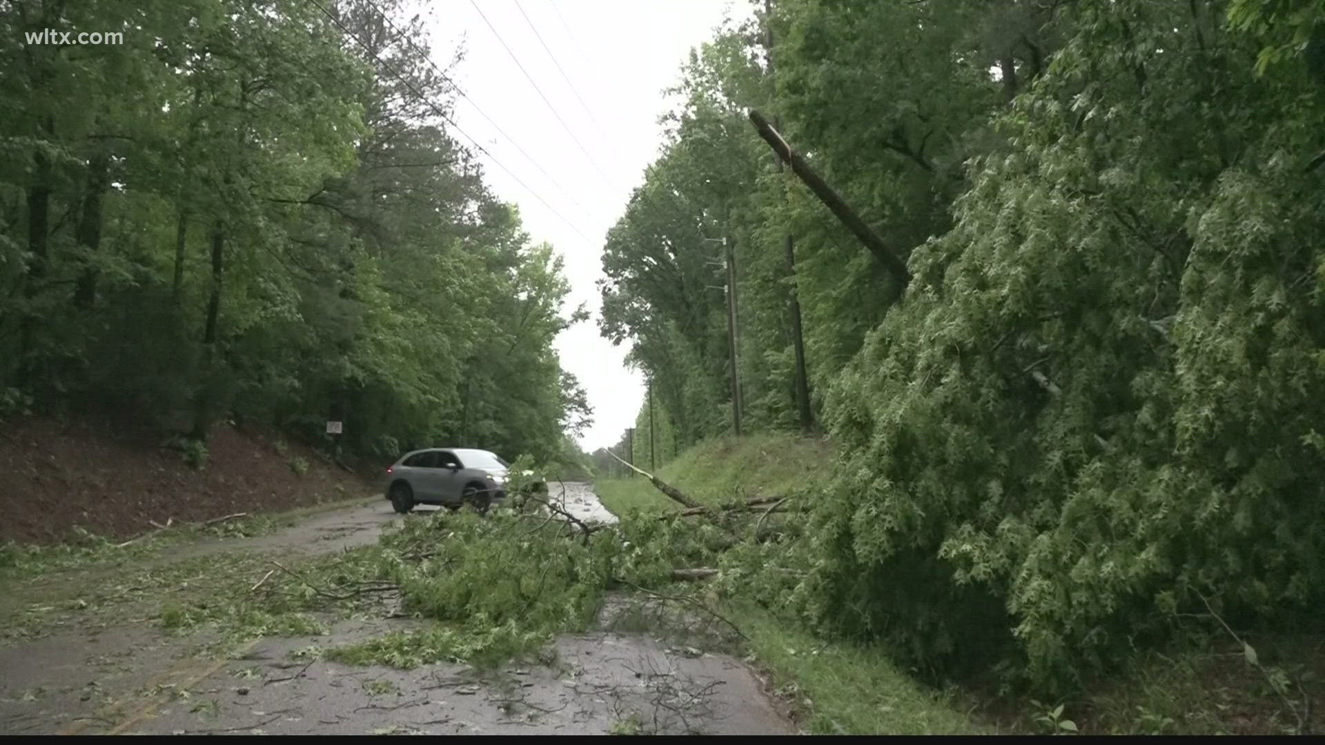 Trees and heavy rain pelted the county early this morning and more rain is expected later and possibly on Friday.