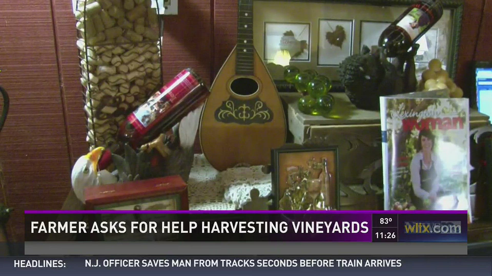 Farmer Asks for Help Harvesting Vineyards