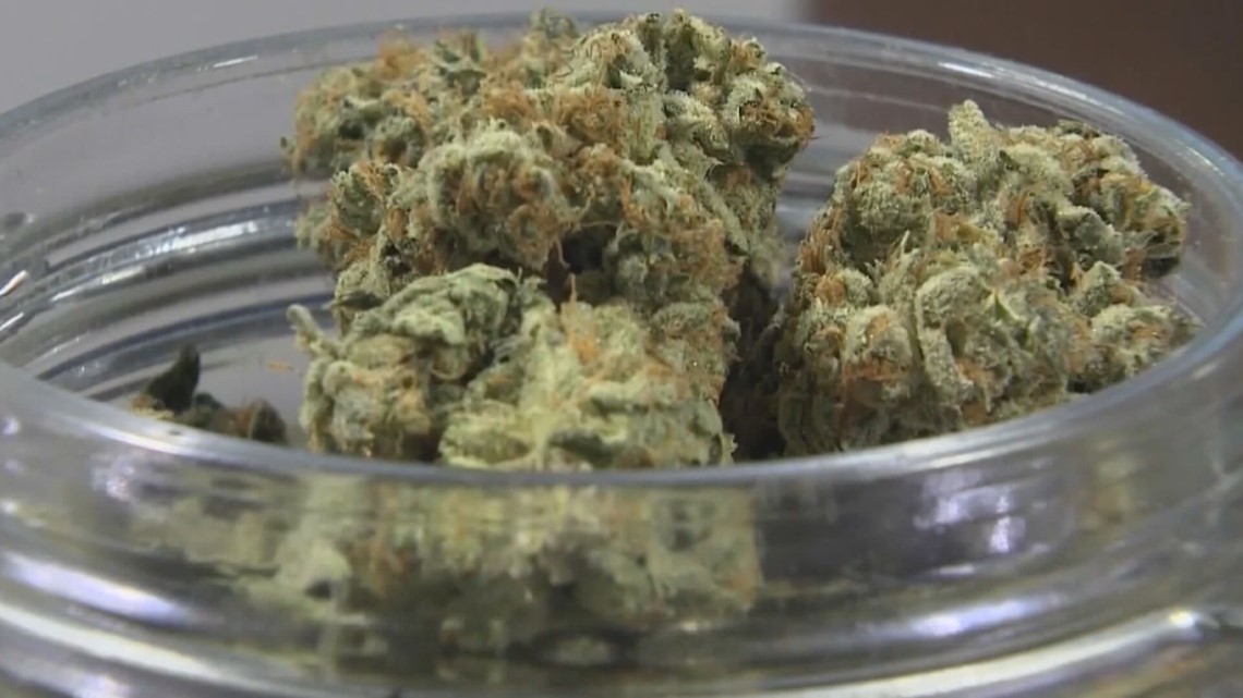Bill up for debate in the Senate to legalize medical marijuana - Vimarsana News